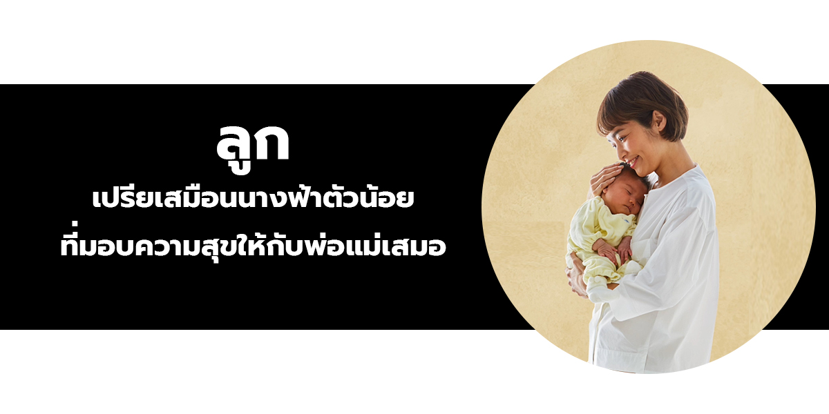 คาร์ซีท Ailebebe